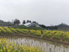 -下渚湖国家湿地公园科普馆