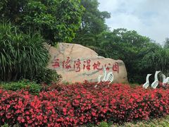 -五缘湾湿地公园