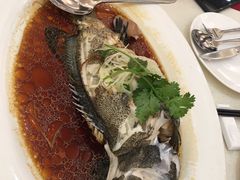 -龙悦湾酒家·八阵鱼生·渔人码头店