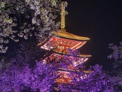 -东湖生态旅游风景区
