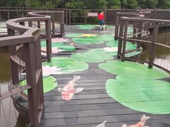 -大湾区中央湿地公园