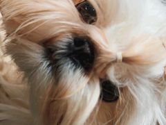 -有肉食·虎九闽菜(798艺术区店)