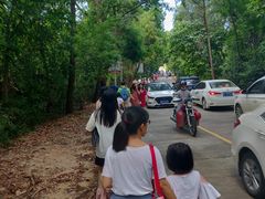 -广东惠东海龟国家级自然保护区