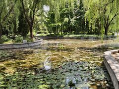 -洛阳市隋唐城遗址植物园