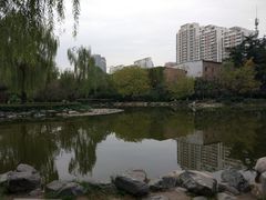 -木塔寺遗址生态公园