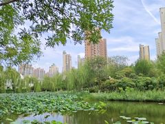 -南翠屏公园