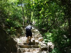 -大岭沟猕猴桃谷风景区