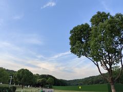 -羊山湖公园