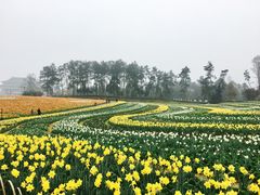 -保利石象湖景区