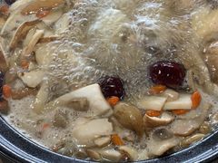 -蘑统田下·野生菌火锅