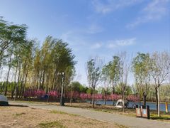 -东郊湿地公园