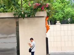 -振鼎鸡(天钥桥路店)