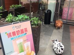 -幸运咖(公园茂直营店)