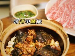 -金龙·打边炉(南京西路店)