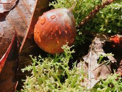 -中国广电东方有线(泉口路营业厅)