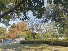 -北京师范大学(珠海校区)