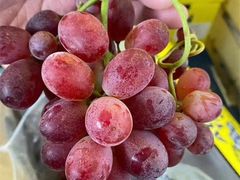 -缤果快跑水果店(河北凌云机电有限公司店)