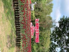 -上海野生动物园