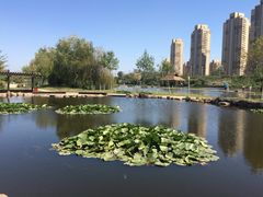 前关湿地公园-前关湿地公园