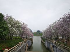 -海珠湖公园