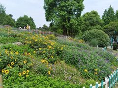 -铁山坪森林公园