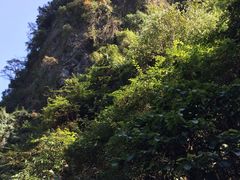 -夏霖九天银瀑风景区