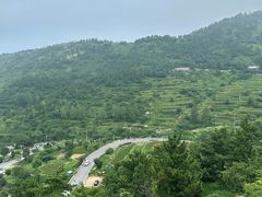 -崂山仰口游览区
