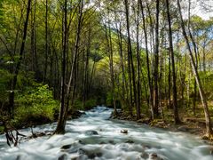 -叠溪松坪沟景区