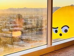 -拉斯维加斯永利酒店