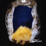 魔都新店|永康路上的神秘洞穴咖啡店☕