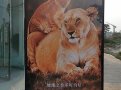 门面-罗红摄影艺术馆