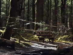 -白马王朗自然风景区