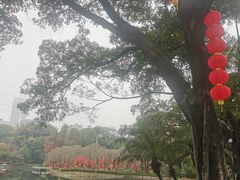 -晓港公园