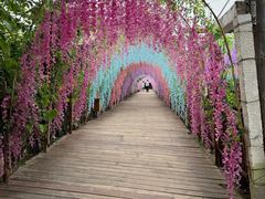 -呀路古热带植物园