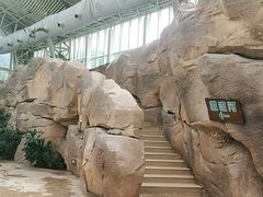 -杭州开元森泊度假乐园