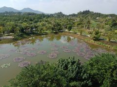 -沙美村