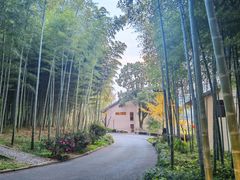 -池州市平天湖风景区