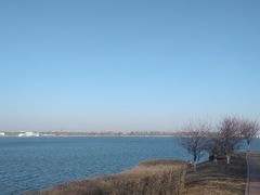 -丁香湖公园
