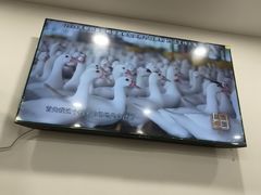 -斯丹姜母鸭·古法干香(泉州总店)