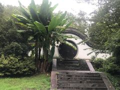-杭州植物园