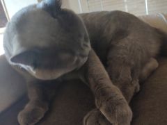 -Me Coffee下午茶艺术空间