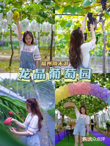 福州周末游｜首家葡萄采摘园️亲手采摘的葡萄超甜