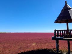 -红海滩国家风景廊道