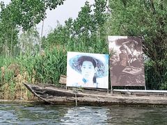 -白洋淀景区
