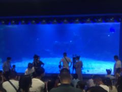 -石家庄海洋公园