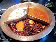 -锅说大脸毛肚重庆老火锅(佐阾店)
