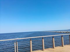 -东疆建设开发纪念公园