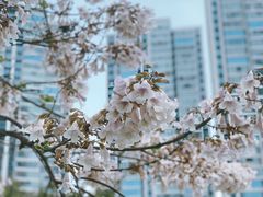 -红星桥(地铁站)