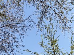 -长乐公园游乐场