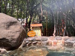 -观唐（国际）度假村温泉